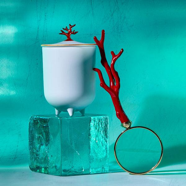 L'objet Coral Candle