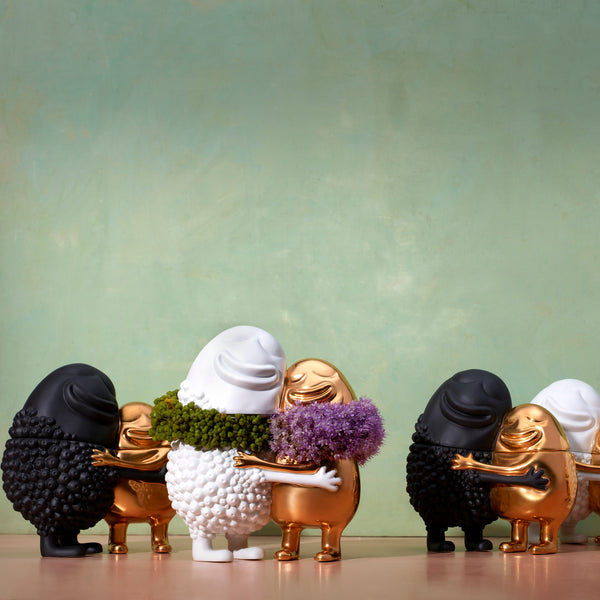 L'objet Haas Huggers Box