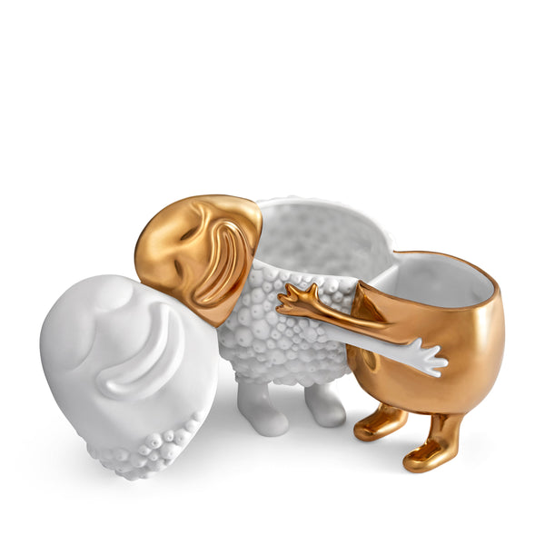 L'objet Haas Huggers Box