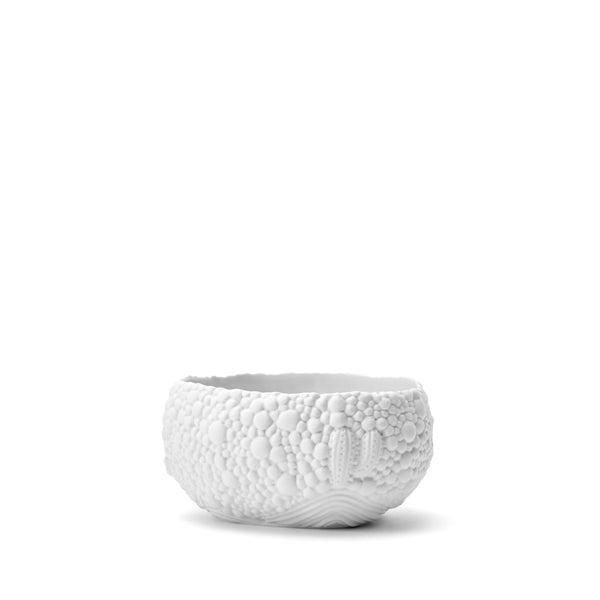 L'objet Haas Mojave Desert Bowl