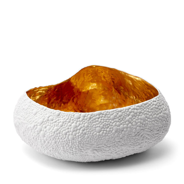 L'objet Haas Mojave Desert Bowl