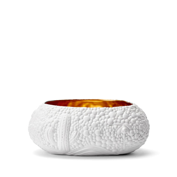 L'objet Haas Mojave Desert Bowl