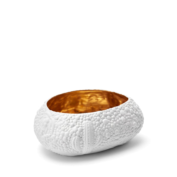 l'objet Haas Mojave Desert Bowl