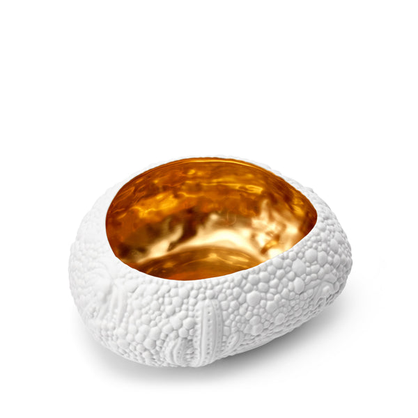 L'objet Haas Mojave Desert Bowl