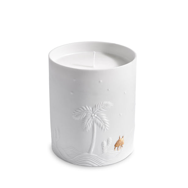 L'objet Haas Mojave Palm Candle