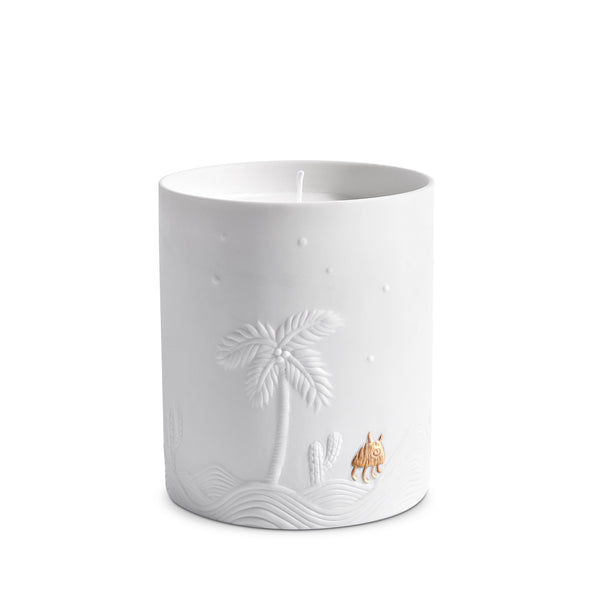 l'objet Haas Mojave Palm Candle