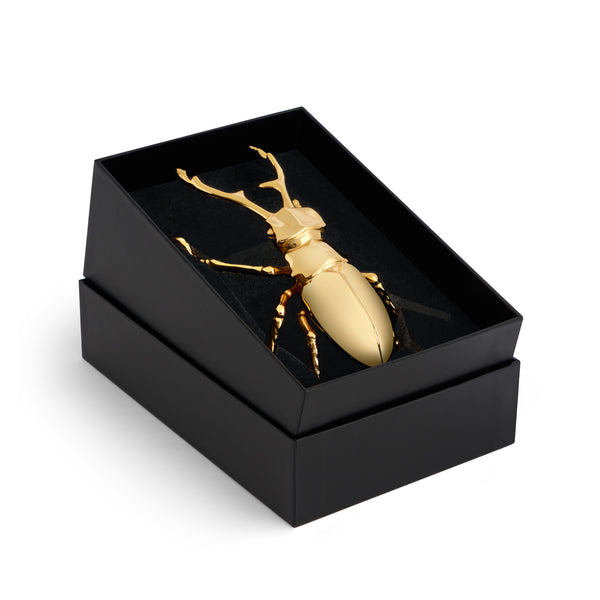 L'objet Longhorn Bottle Opener