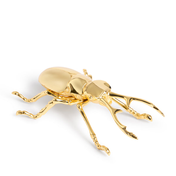 L'objet Longhorn Bottle Opener