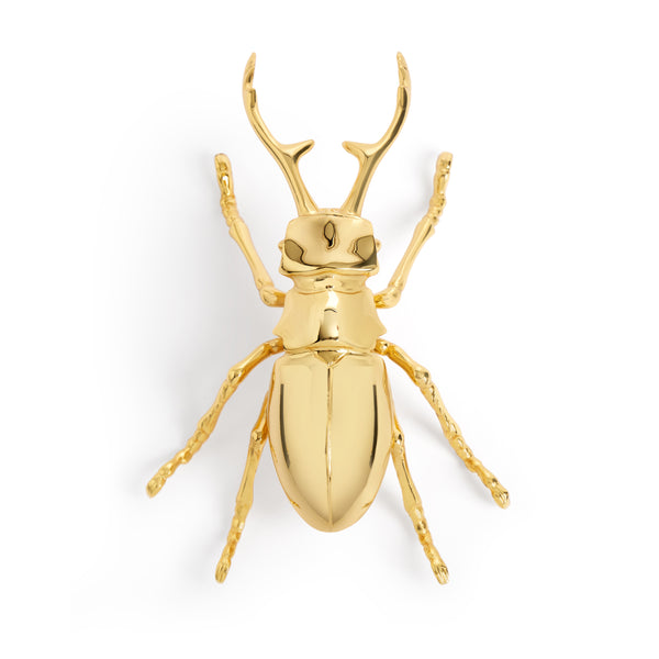 l'objet Longhorn Bottle Opener