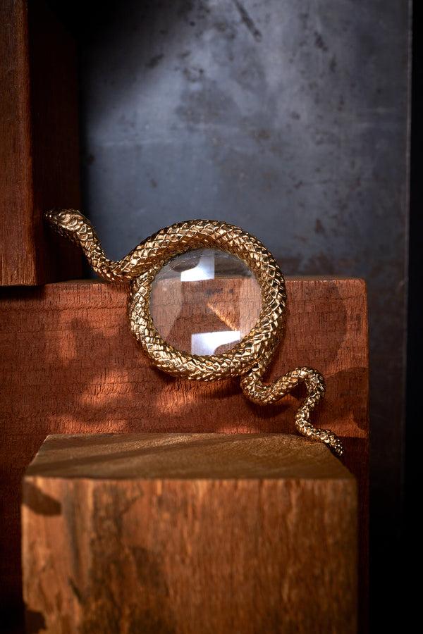 L'objet Snake Magnifying Glass - Large