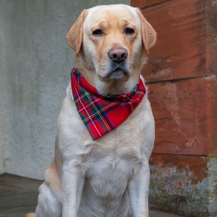 Lochcarron Of Scotland Made To Order Reiver Lightweight Dog Bandana