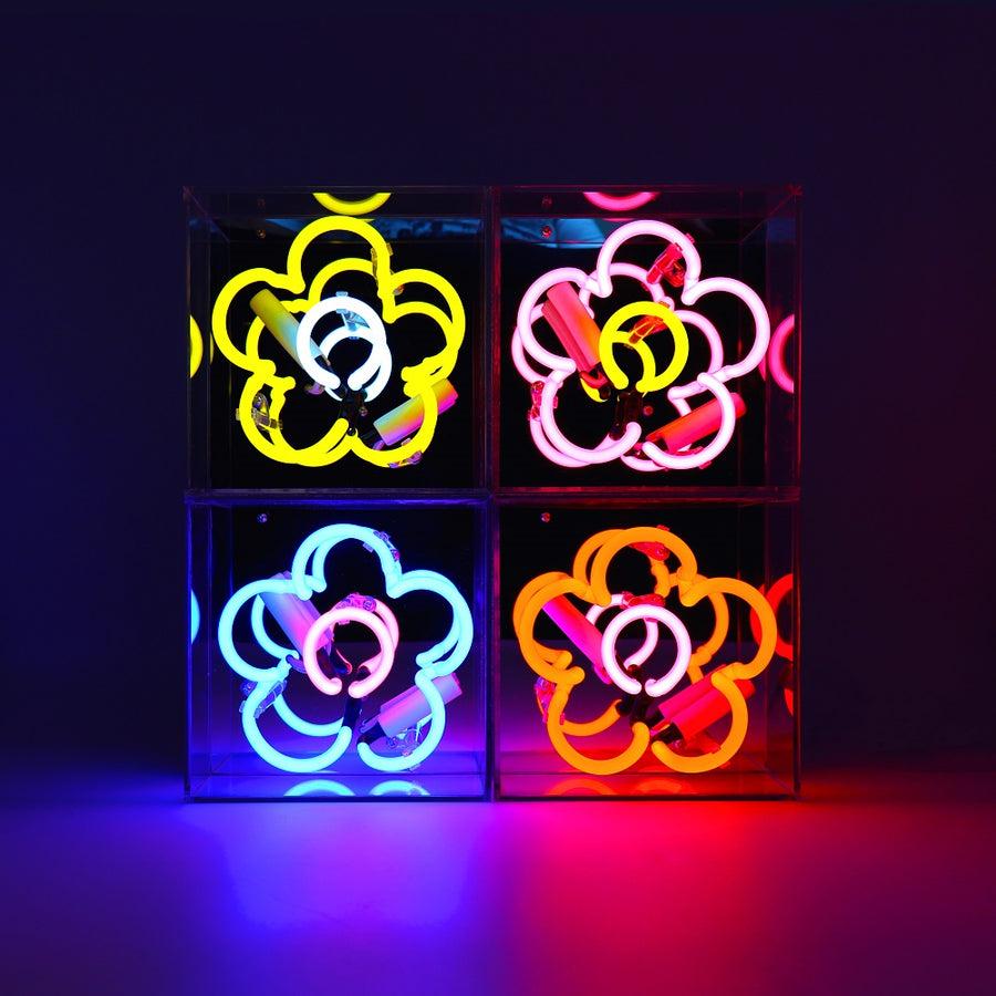 Locomocean 'Daisy' Mini Glass Neon Sign