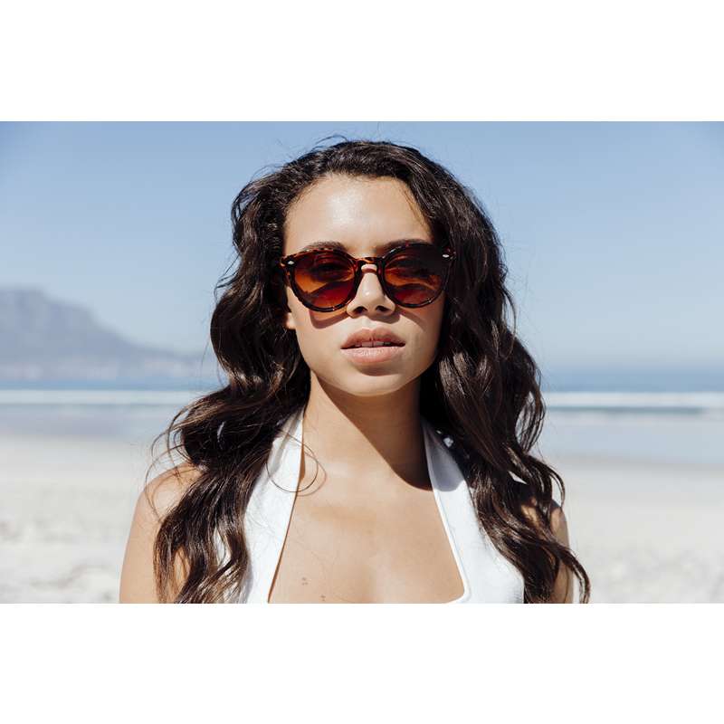 Locs Brun Turtle Runde Plate Clubmaster Solbriller – Brune Glas