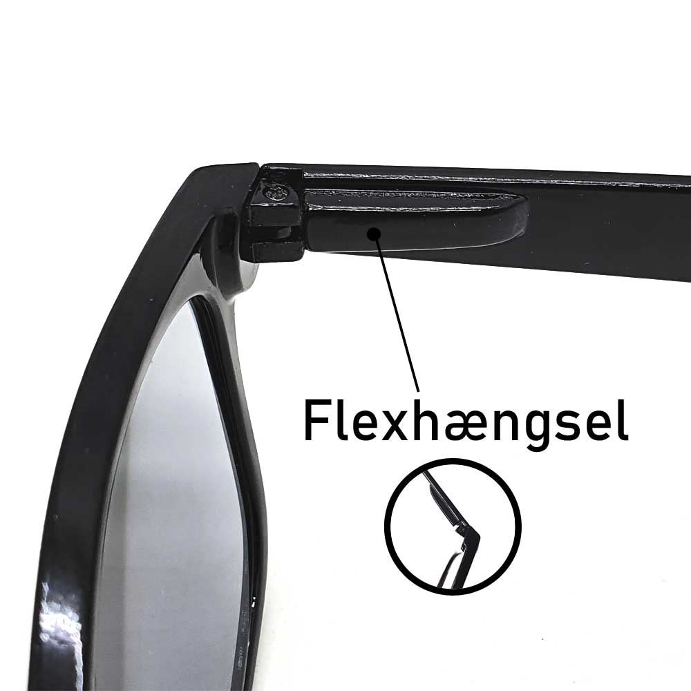 Locs Wayfarer Læsesolbriller – Blank Brun Turtle