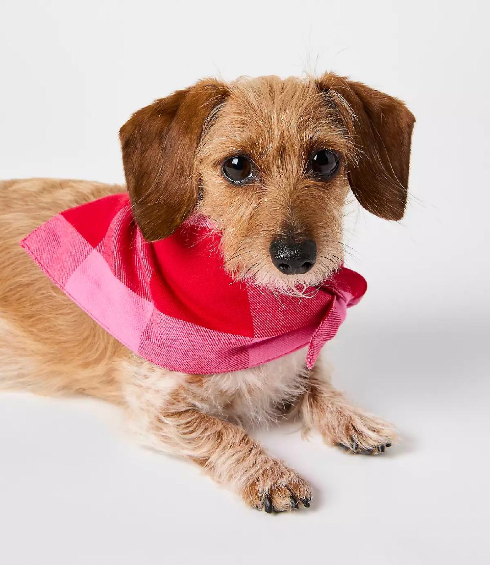 loft Buffalo Plaid Dog Bandana