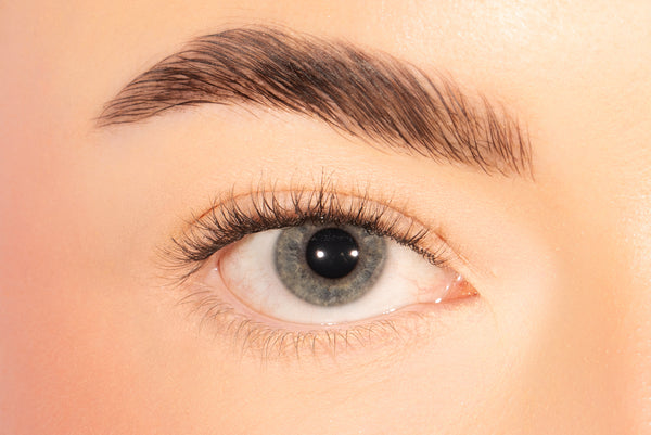 Lolas Lashes Short Classic Pre-mapped Cluster Lashes