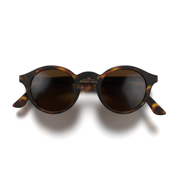 london mole Graduate sunglasses in matt tortoiseshell