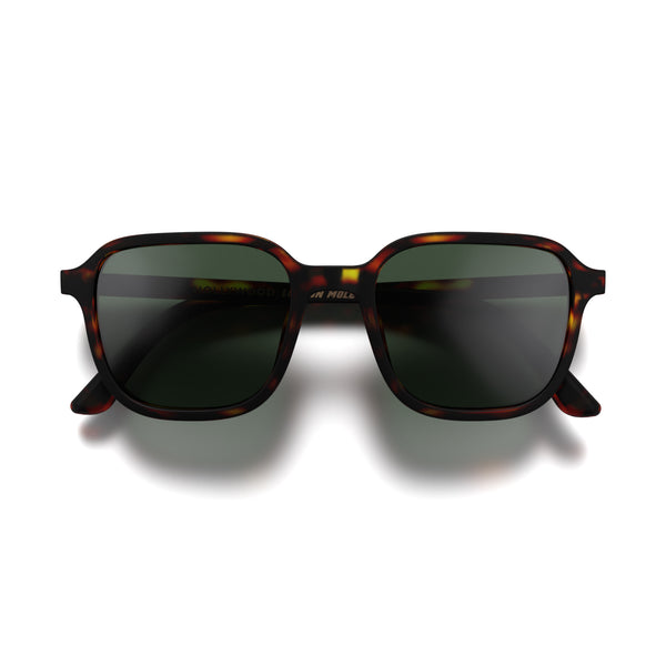 london mole Hollywood sunglasses in matt tortoiseshell with green lenses