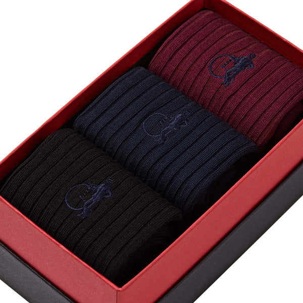 London Sock Company Simply Traditional II 3-Pair Box