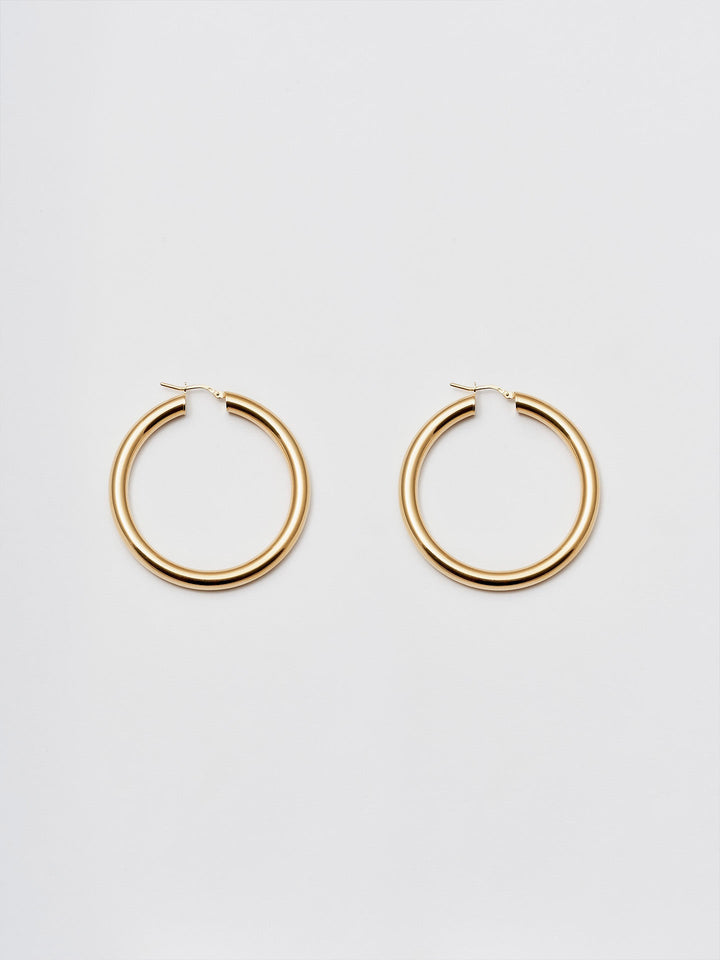 loren stewart Large Tru Hoops