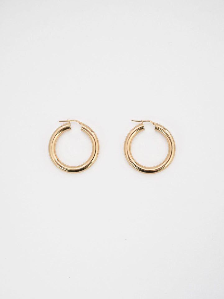 loren stewart Medium Tru Hoops