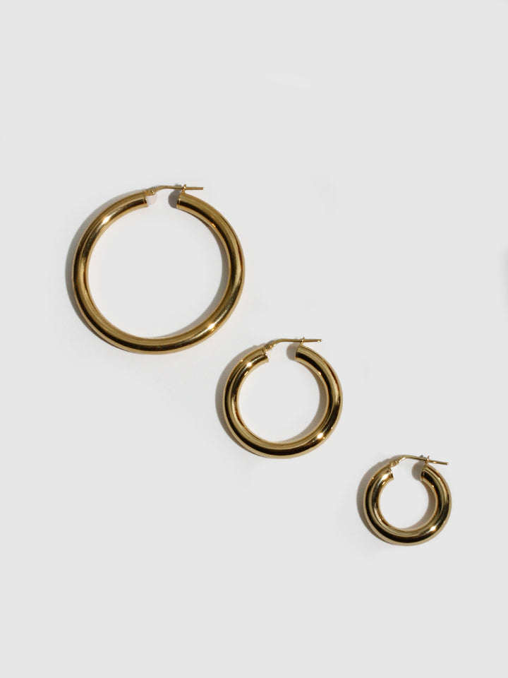 Loren Stewart Small Tru Hoops