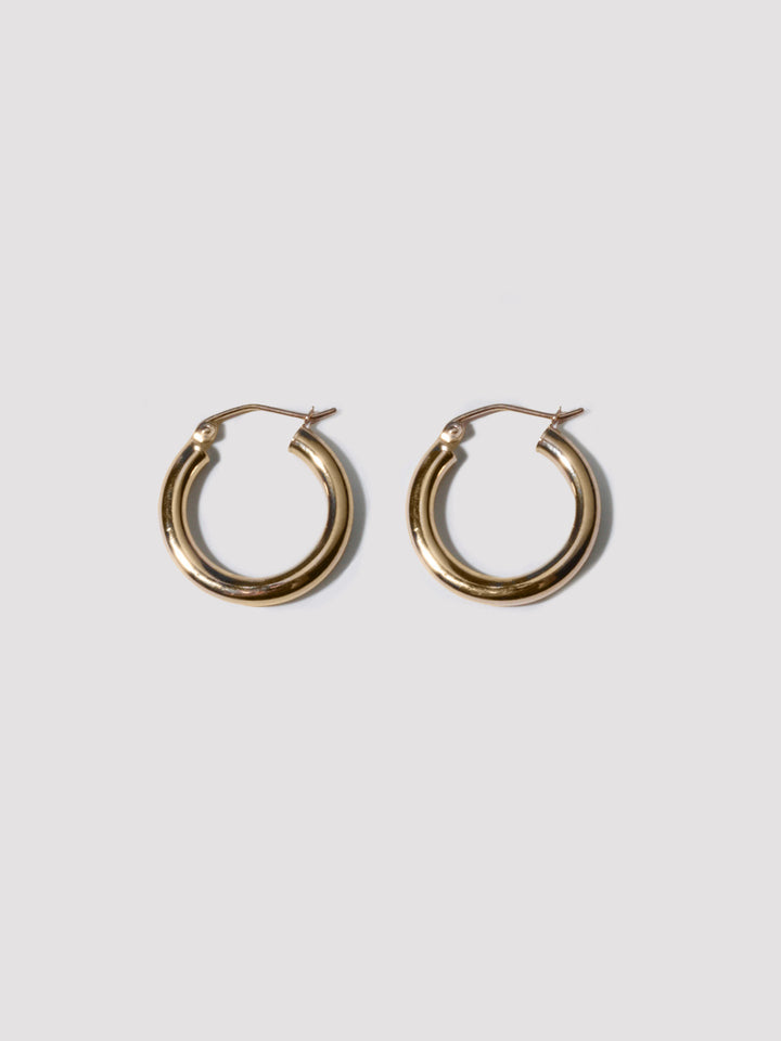 loren stewart Sol Hoops