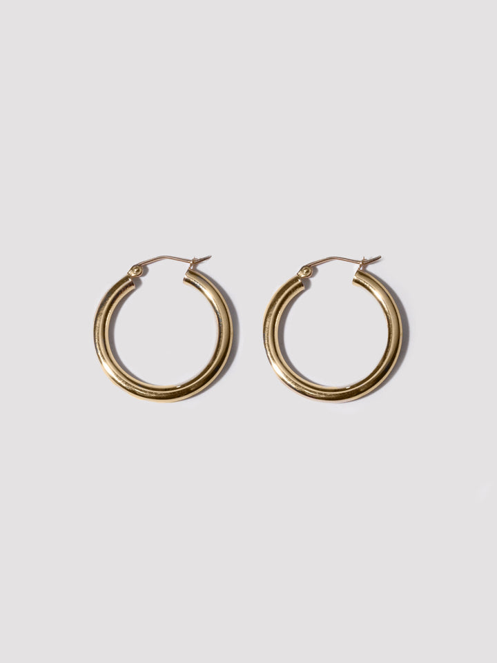 loren stewart XL Sol Hoops