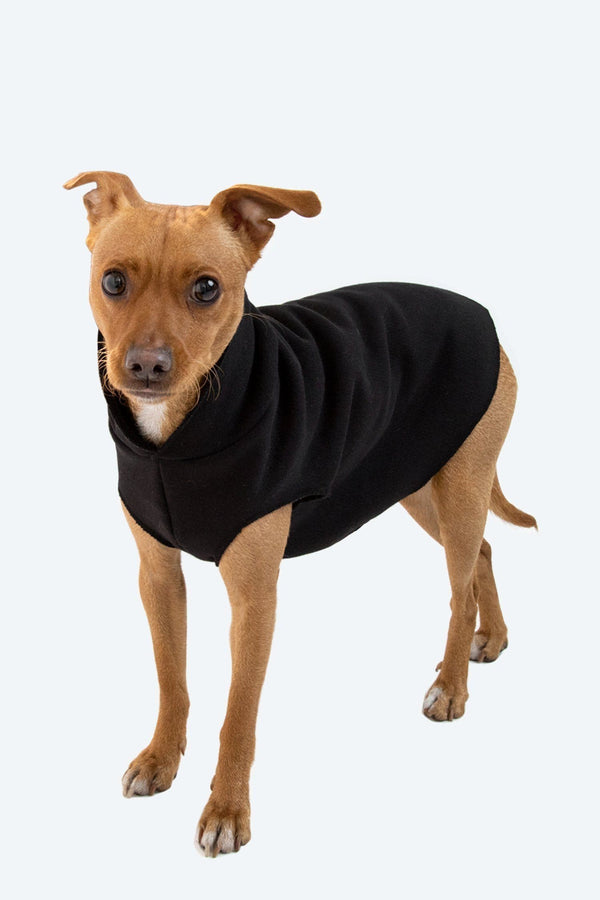 los angeles apparel Hooded Dog Sweater
