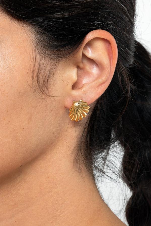 Los Angeles Apparel Seashell Earrings