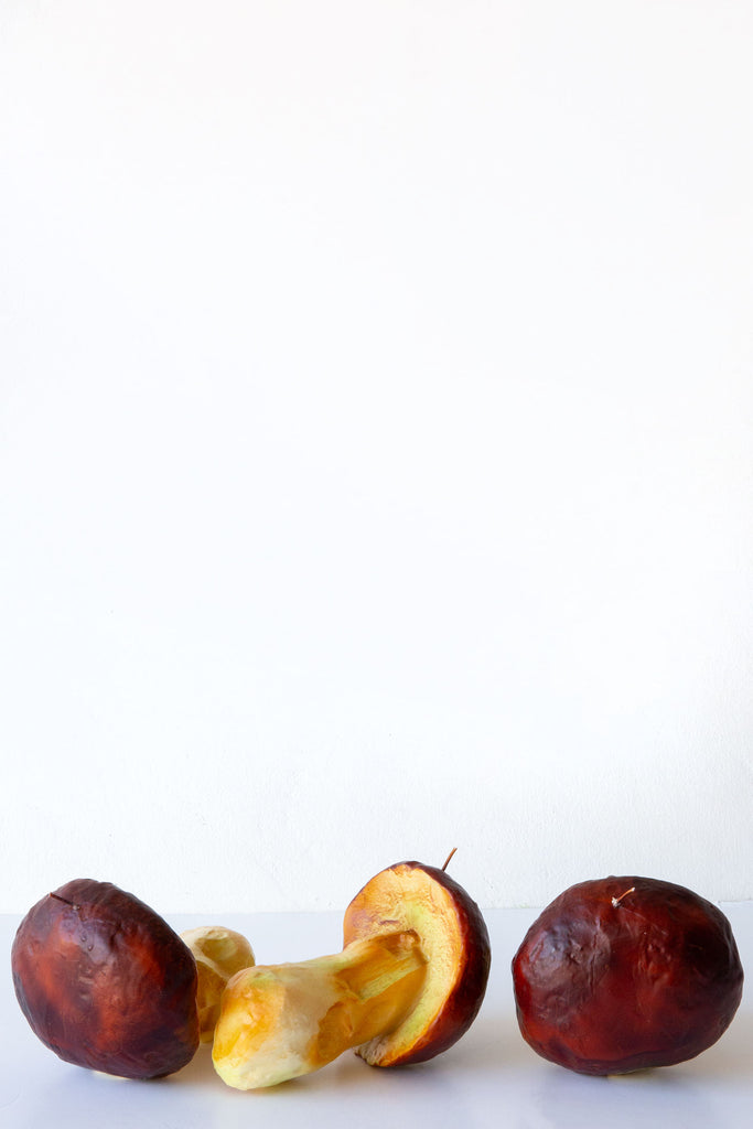 Cereria Introna Giant Mushroom Candle