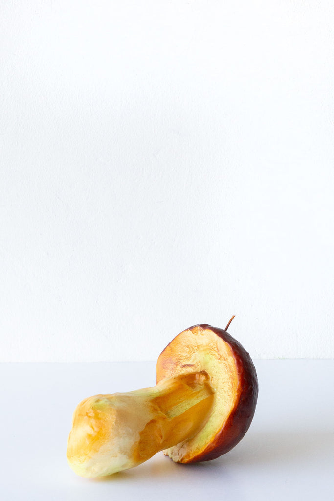 Cereria Introna Giant Mushroom Candle