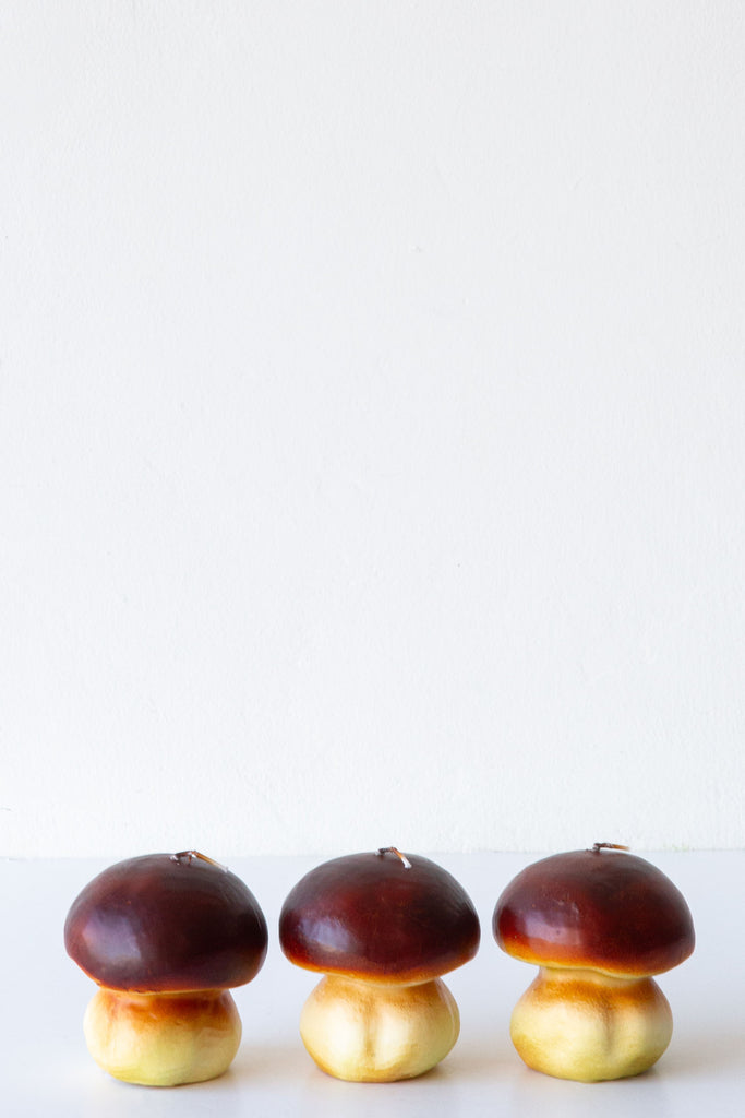 Cereria Introna Porcino Mushroom Candle