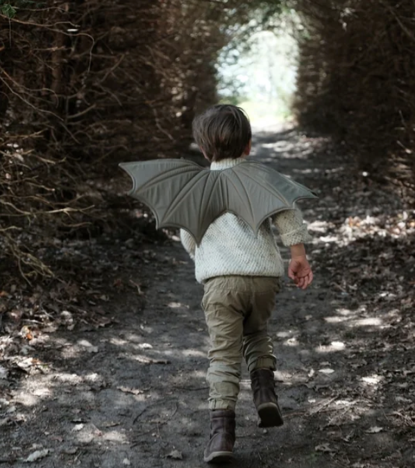 Fabelab Dragon Wings