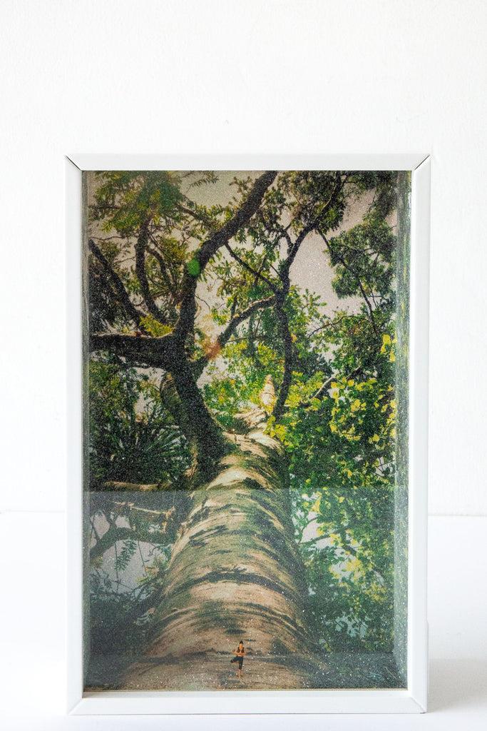 Glass Cathedrals Miniature Art Box Yoga Tree