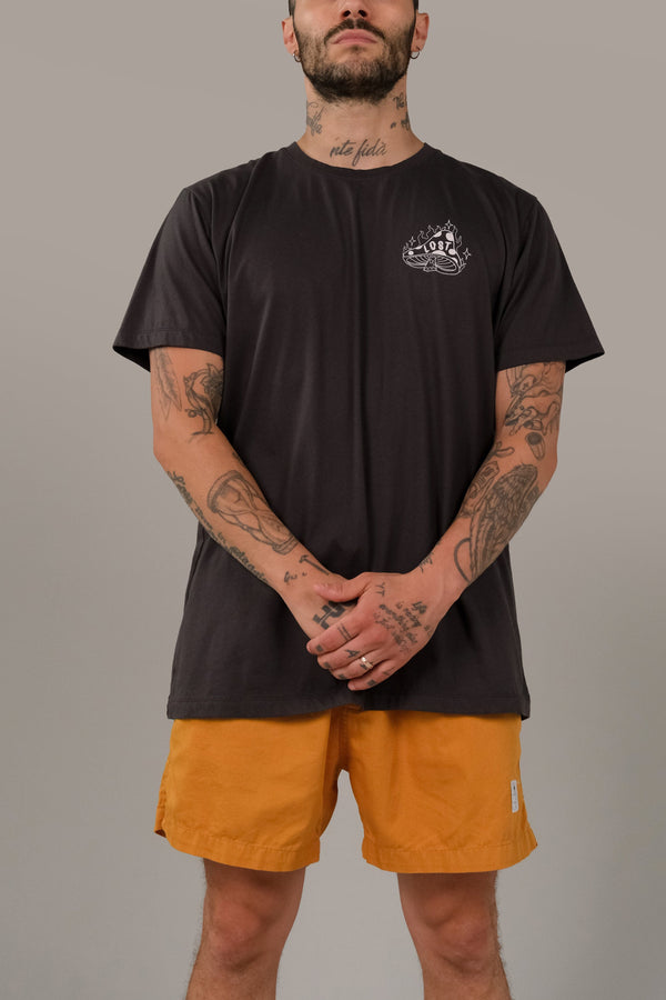 Lost In Paradise Ts Live In The Magic Black