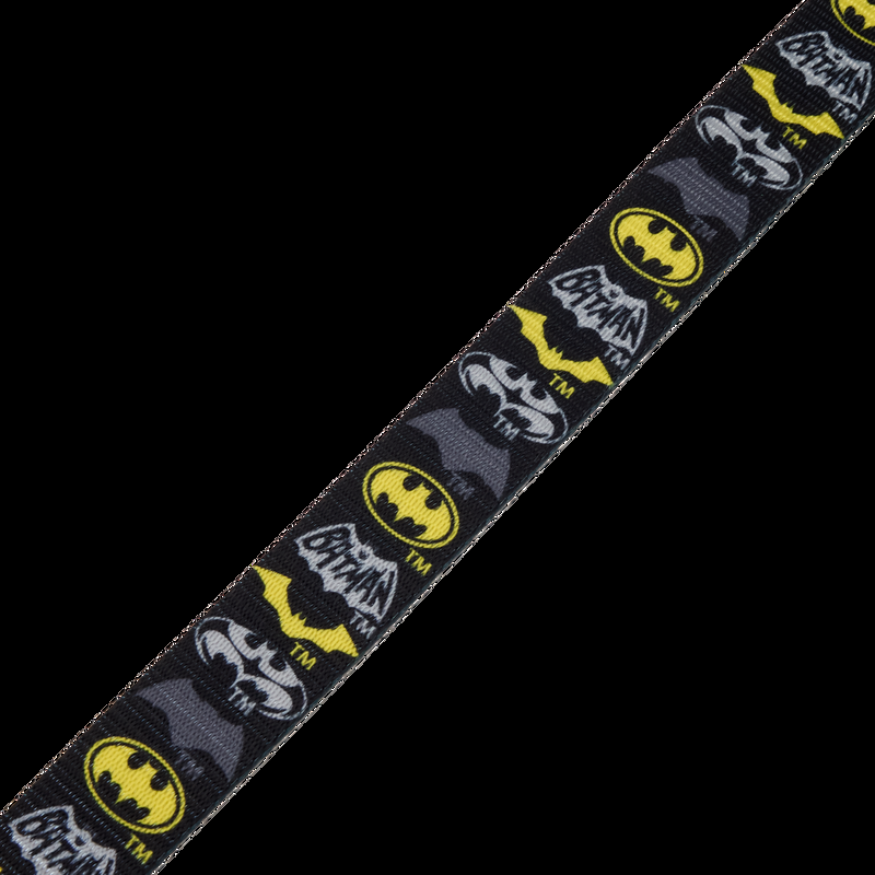 Loungefly DC Comics Batman™ 85th Anniversary Leash