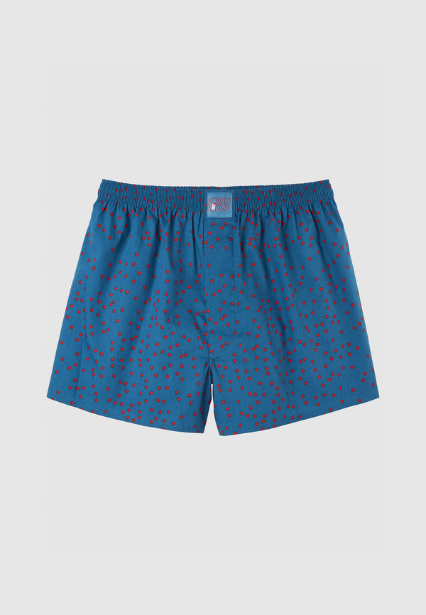Lousy Livin Underwear 3 PACK BOXERSHORTS PUSH BOX Teal