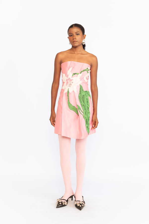 love birds Amelia Embroidered Mini Dress - Pink