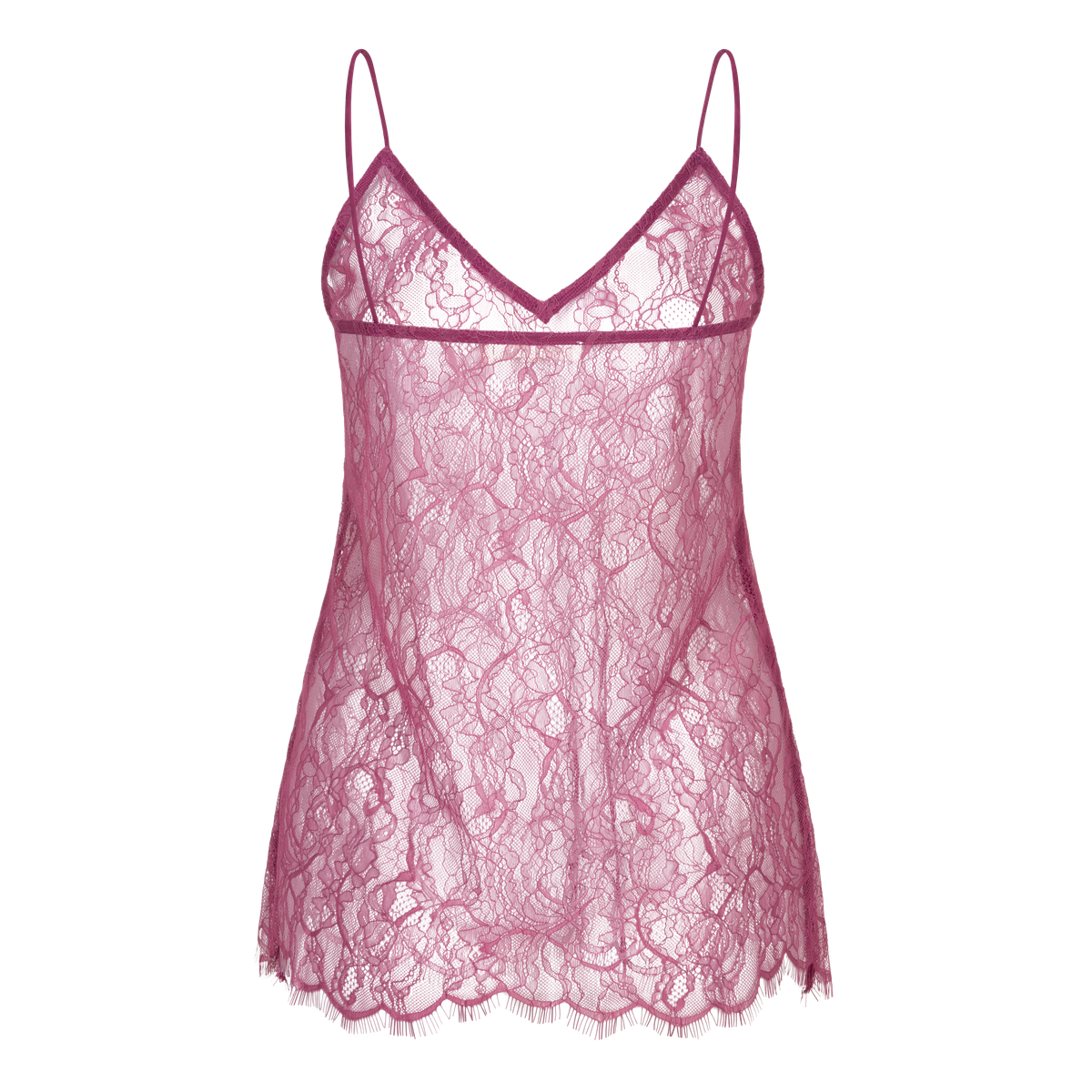 Love Stories Eve Sheer Lace Top
