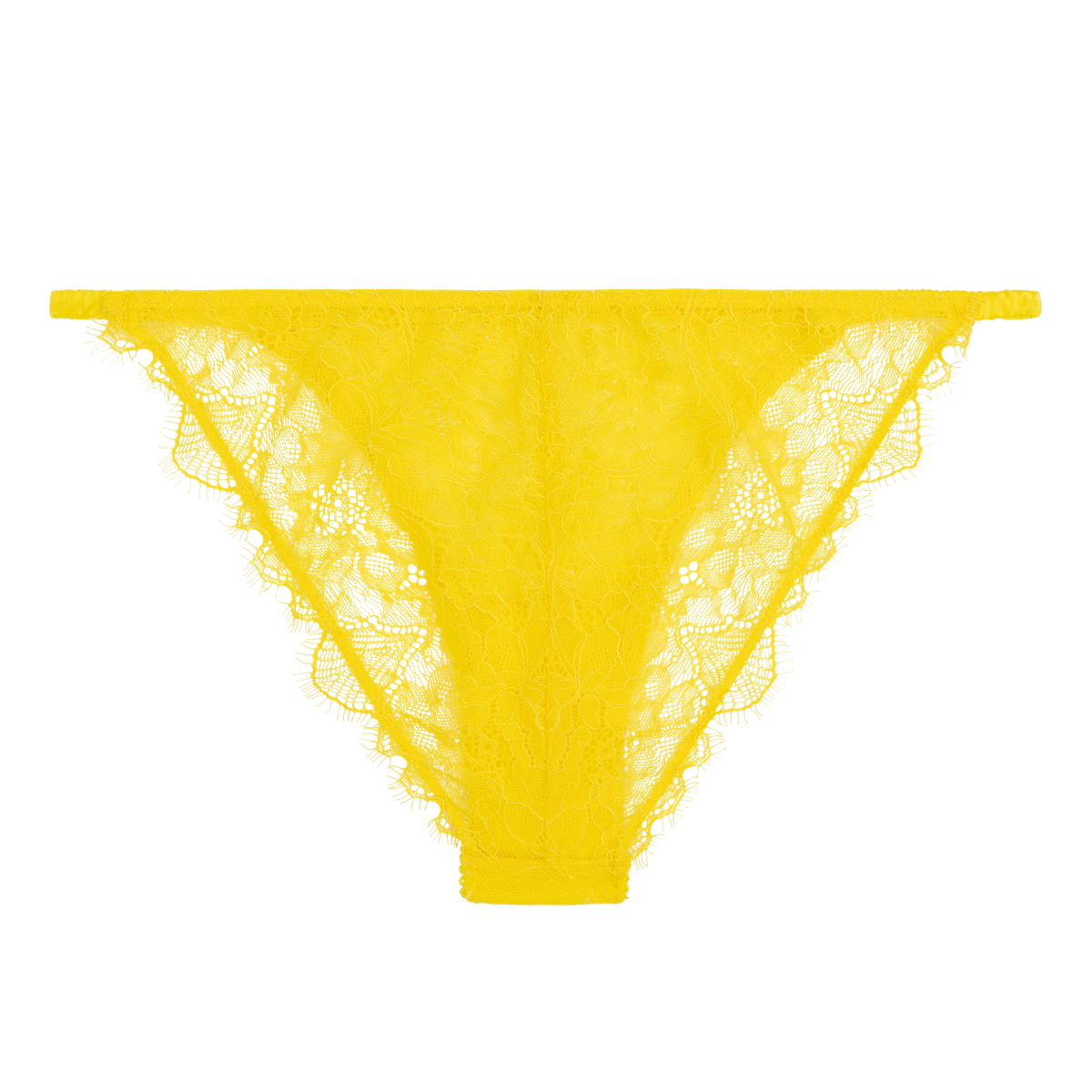 Love Stories Wild Rosie Delicate Lace Briefs