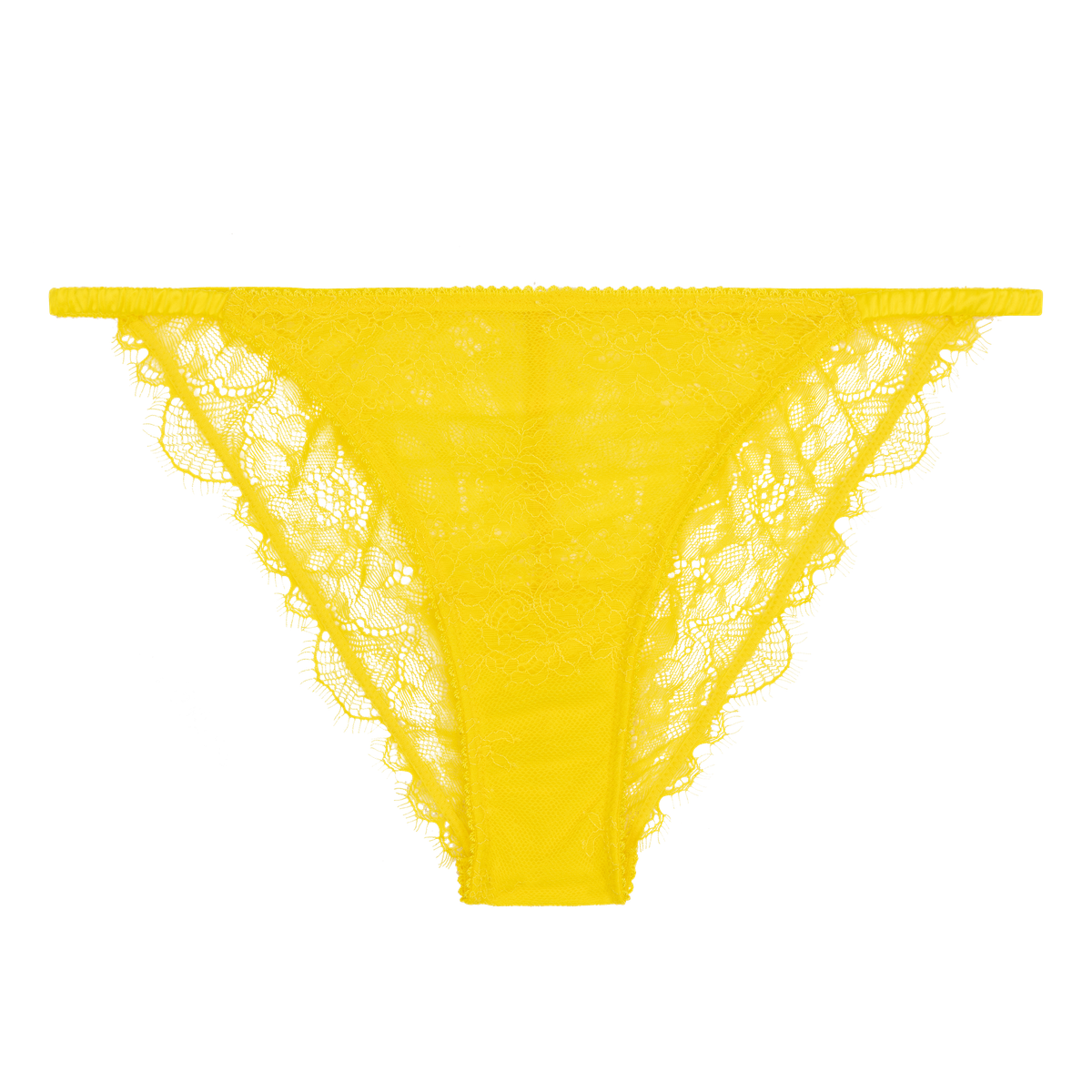 love stories Wild Rosie Delicate lace briefs