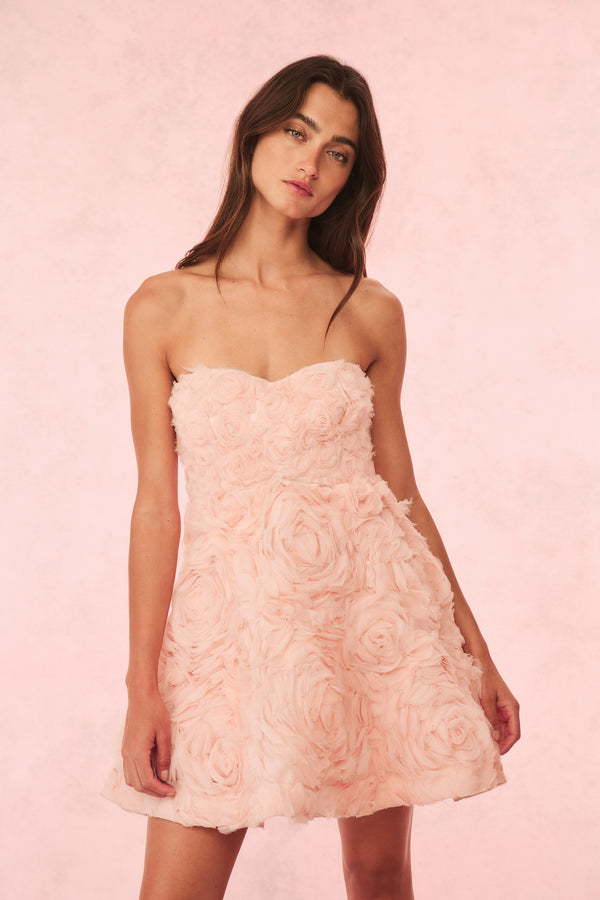 Loveshackfancy Bellamina Organza Rose Mini Dress