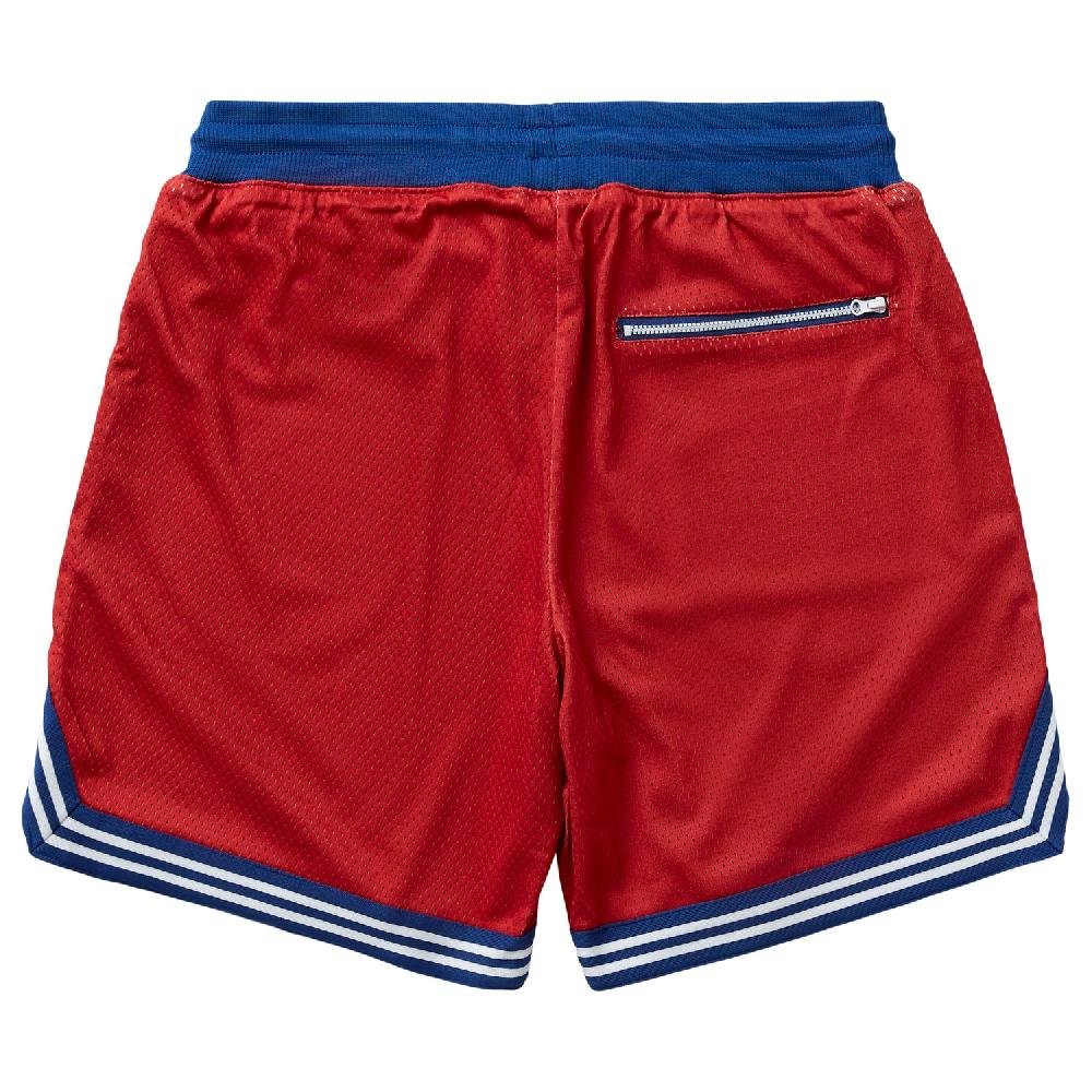 Lrg ASSIST MESH SHORT
