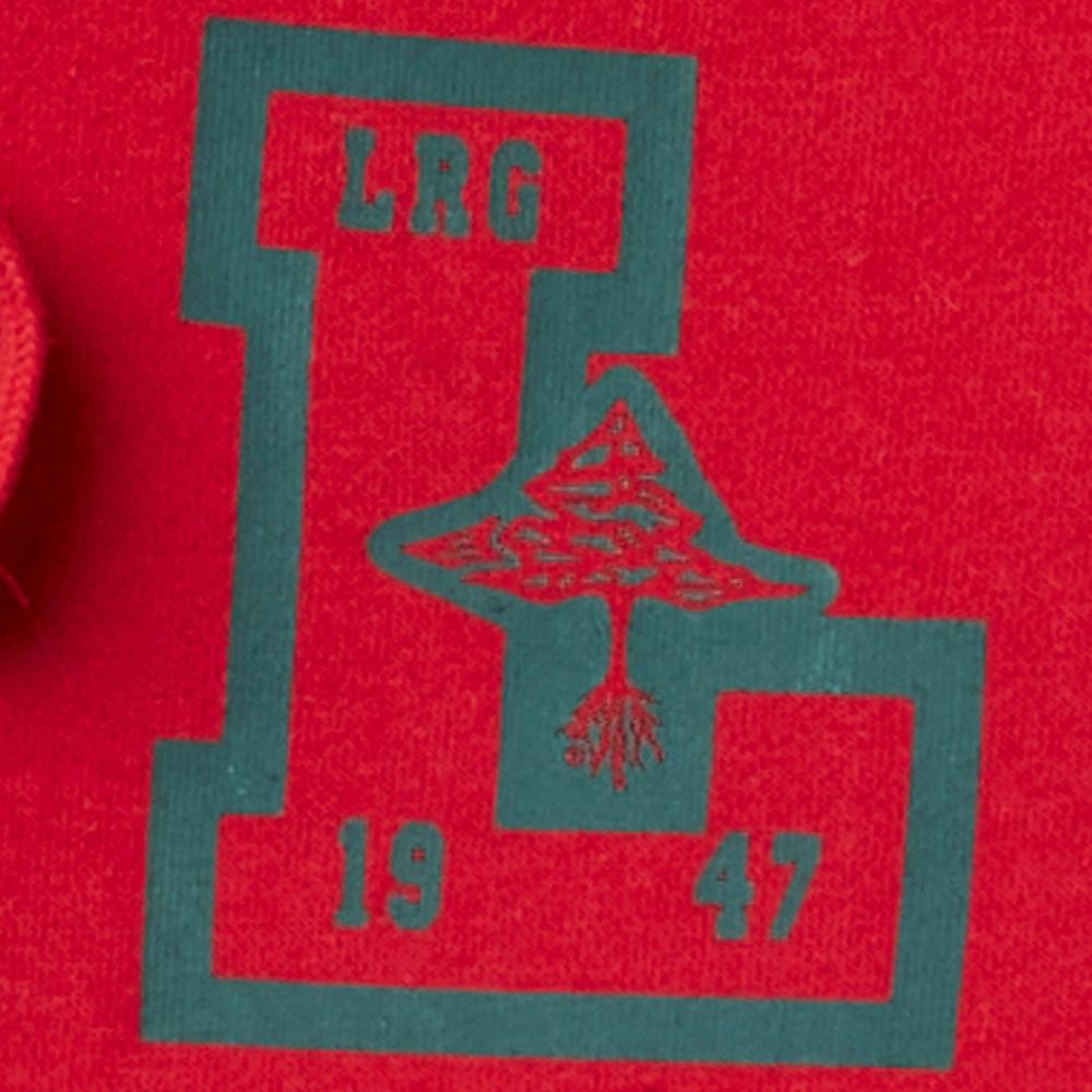 Lrg BRIGHTER THAN L PULLOVER HOODIE