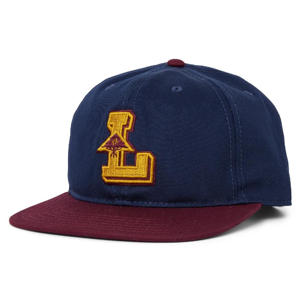 lrg COLLEGIATE DAD HAT