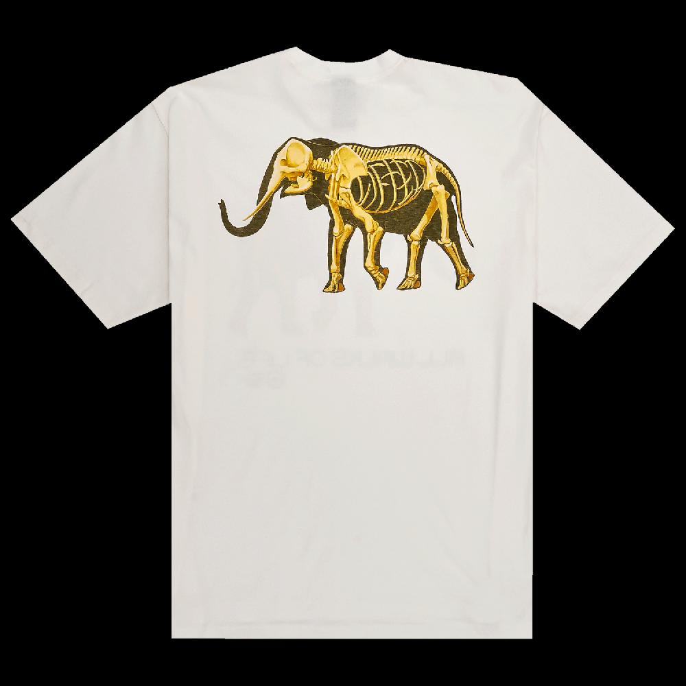 Lrg FOSSIL TEE