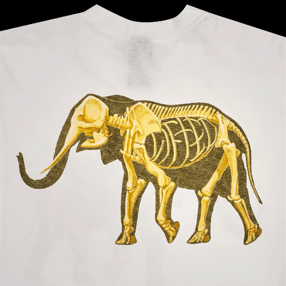 Lrg FOSSIL TEE