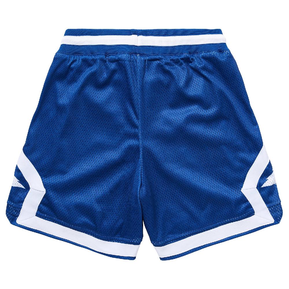 Lrg ORIGINAL ROOTS MESH SHORTS