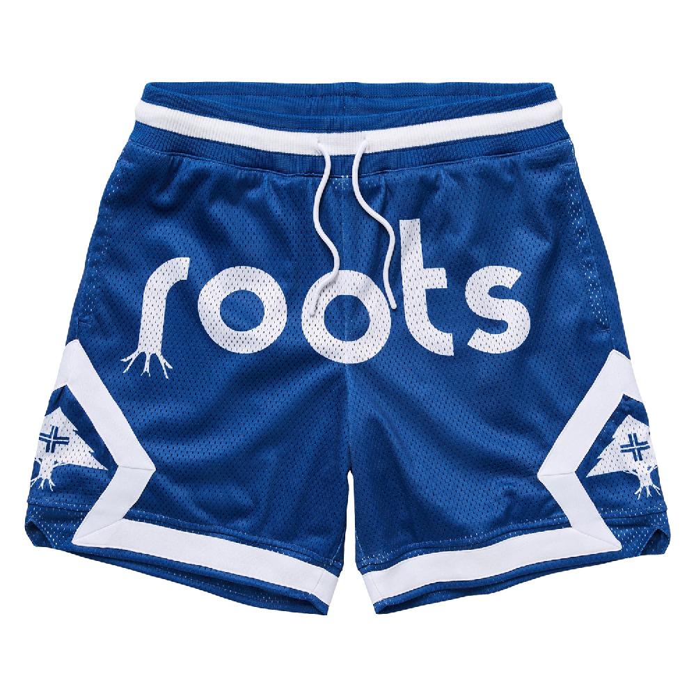 lrg ORIGINAL ROOTS MESH SHORTS